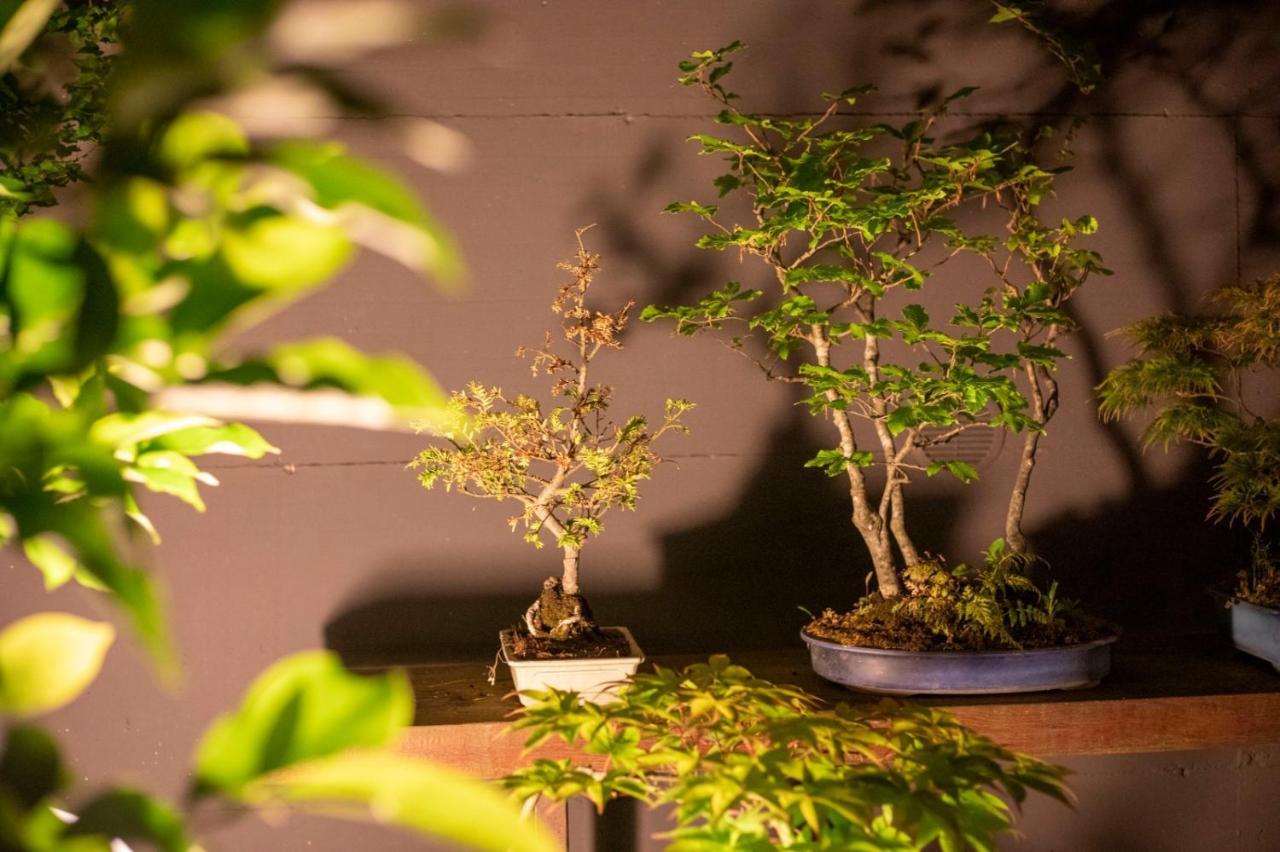 Appartement Il Giardino Segreto à Carbognano Extérieur photo