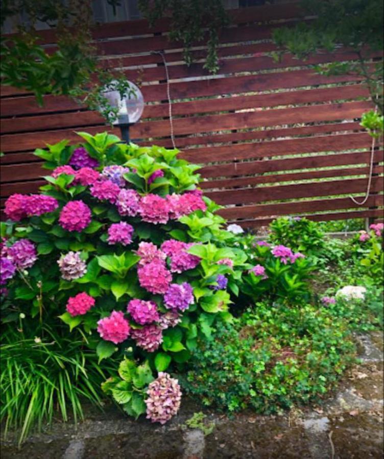 Appartement Il Giardino Segreto à Carbognano Extérieur photo