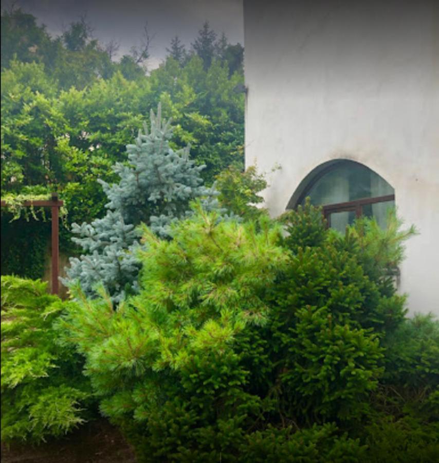 Appartement Il Giardino Segreto à Carbognano Extérieur photo